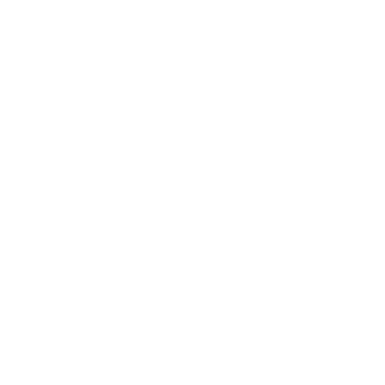SICHERHEITSDIENST AARAU